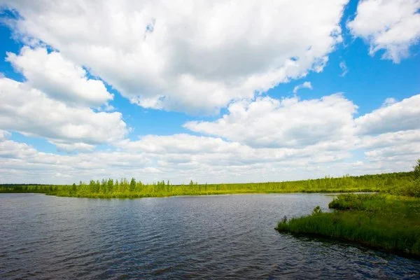 Озеро Ахманка и зелёный берег летом